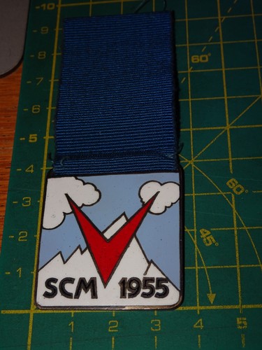 Medaglia smalto ski - smalto, sci